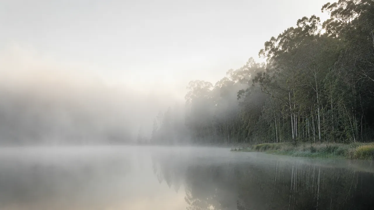 Morning mist over still water