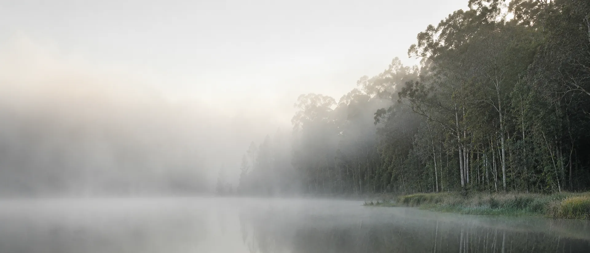 Southeast Queensland coast at dawn